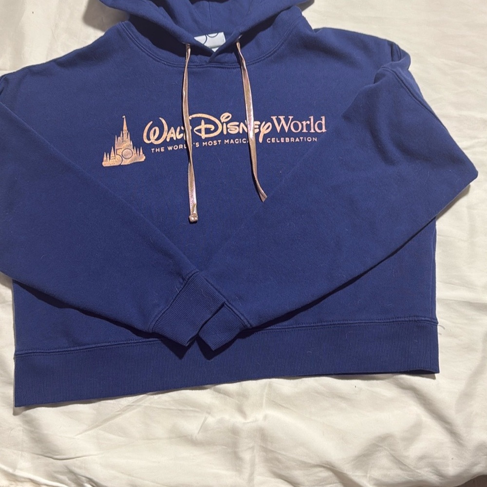 Walt Disney World Cropped Blue X-small Celebration Hoodie